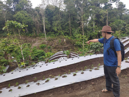 Berkebun di TWA, Tiga Warga Diamankan