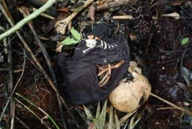 Tengkorak Manusia Ditemukan di Hutan, Polisi Selidiki Penyebab Kematian