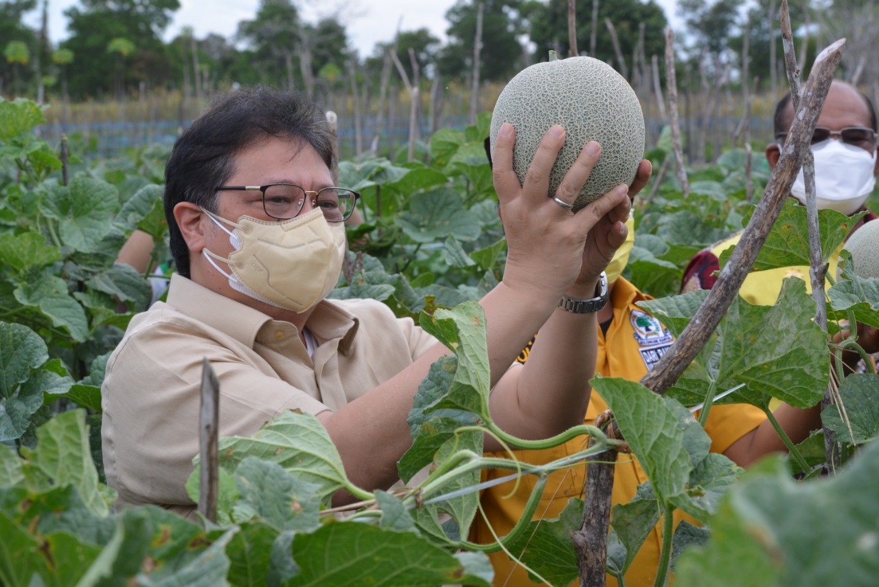 Beli Hasil Panen untuk Warga Isoman Covid-19, Menko Airlangga Apresiasi Terobosan Pemda Kalsel