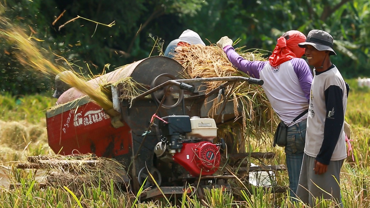 Tetap Tumbuh Ditengah Pandemi, Kredit Pertanian BRI Tembus Rp117,54 Triliun