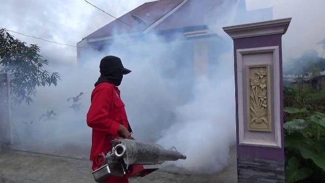 Masuk Musim Penghujan, Waspadai Demam Berdarah