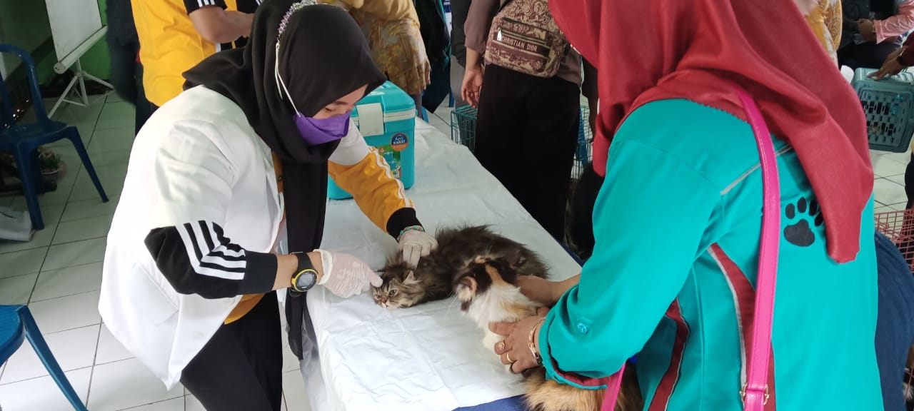 Program Vaksin Rabies hanya Mampu 1.800 Dosis, Ada 18 Ribu Hewan Peliharaan di Kota Bengkulu