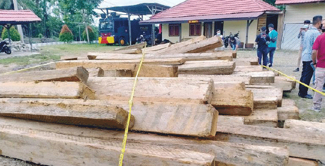 101 Balok Kaleng Terapung di Sungai