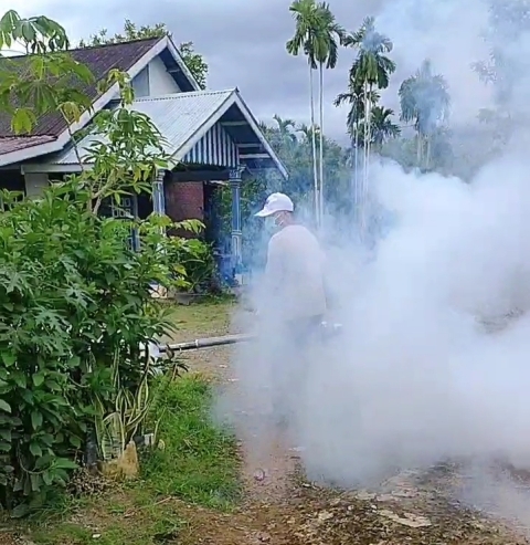 39 Warga di Bengkulu Utara Terjangkit DBD, Fogging Digencarkan