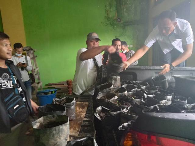 Ratusan Batang Ganja Ditanam dalam Pot Ditemukan di Rumah Bertingkat