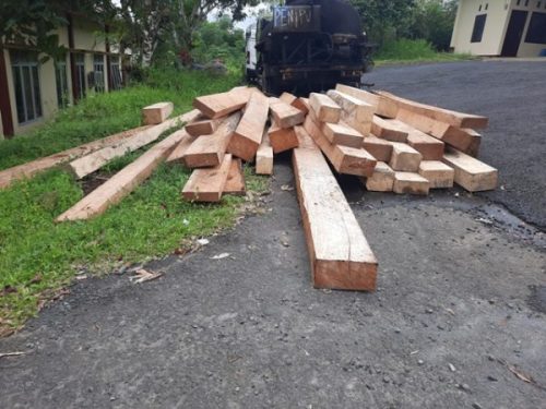 Petani Ini Curi Tiga Kubik Kayu Merambung Punya Tetangga