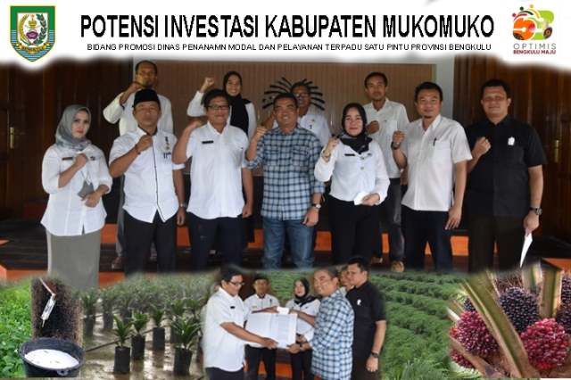 DPMPTSP Provinsi Bengkulu Promosikan Potensi Perkebunan Mukomuko