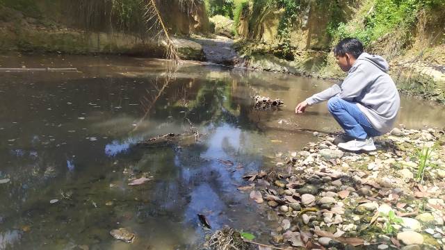 Sungai Air Beriang Mulai Berubah Warna, Warga: Sejak Ada Pabrik Sawit 