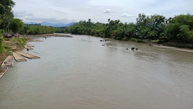 Cek Kualitas Air Sungai, Tim Kajian Ambil Sampel di Tiga Titik