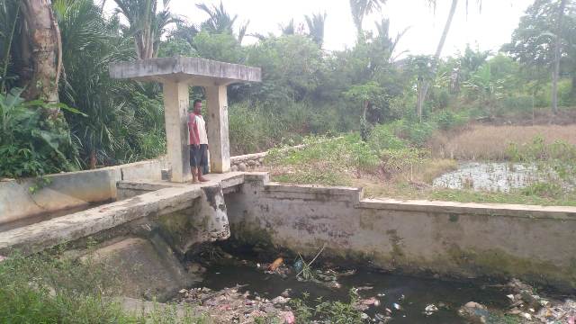 Irigasi Jebol, 50 Hektare Sawah Terancam Gagal Tanam