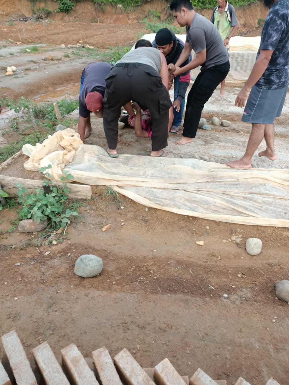 Napi Kabur Tertangkap di Ipuh