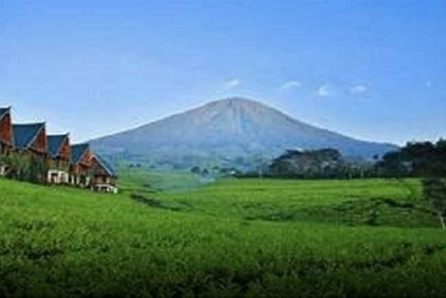 Kawasan Wisata Gunung Dempo Tetap Dibuka