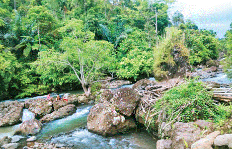 Lubuk Batu Becumpung di Cawang