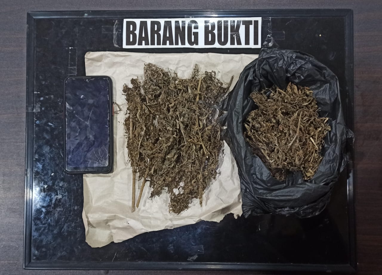 Miliki 2 Paket Sedang Ganja, Pemuda 23 Tahun Diamankan