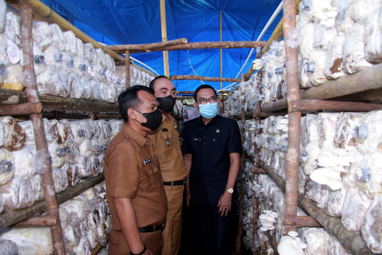 Diskop UKM Provinsi dan Benteng Kolaborasi Pengembangan Potensi UMKM