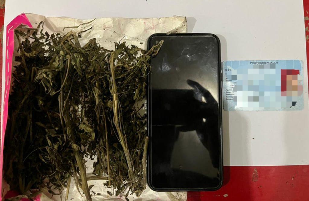 Diciduk Edarkan Ganja, Handphone Beserta Motor Ikut Diamankan