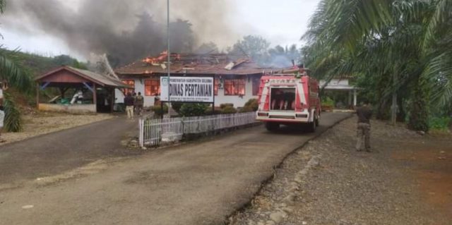 Labfor: Kebakaran di Kantor Dinas Pertanian, Murni Korsleting Listrik