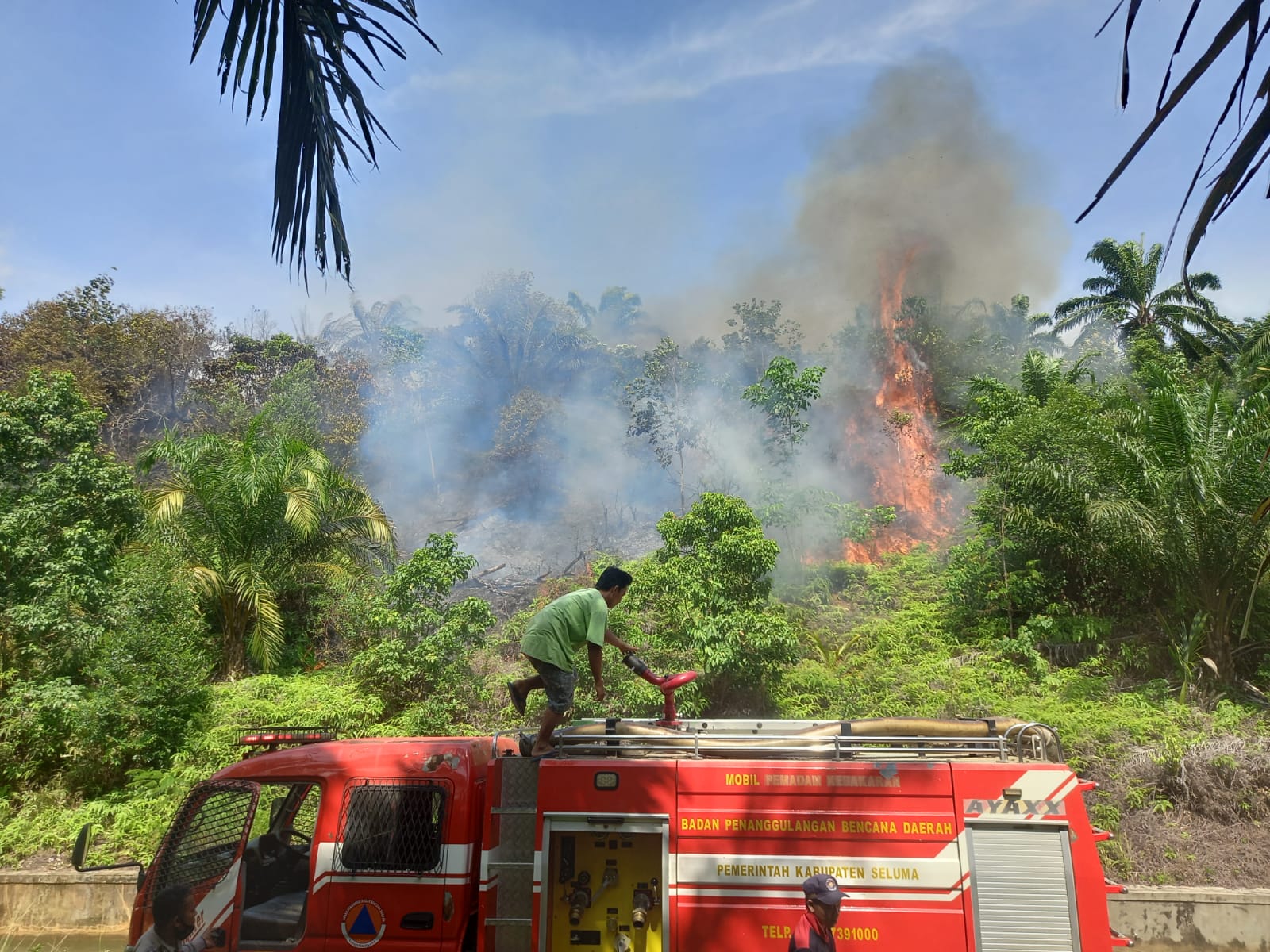Kebun 2,5 Hektare Terbakar di Kompleks Pemkab Seluma