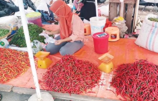 Cabai Merah sudah Rp 50 Ribu/Kg