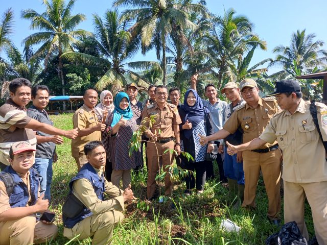 Dinas TPHP Provinsi Bengkulu Bagi 350 Bibit Buah di Seluma