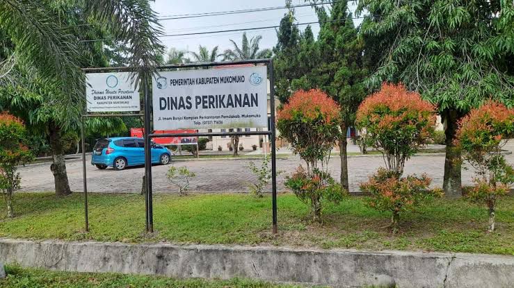 Nelayan Mukomuko Dapat Bantuan Pembuatan Badan Hukum Gratis, Ini Penjelasan Dinas Perikanan