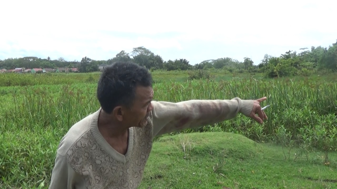 Pencuri Sapi Kembali Beraksi di Bengkulu, Berhasil Kabur Setelah Ketahuan dan Nyaris Tabrak Warga