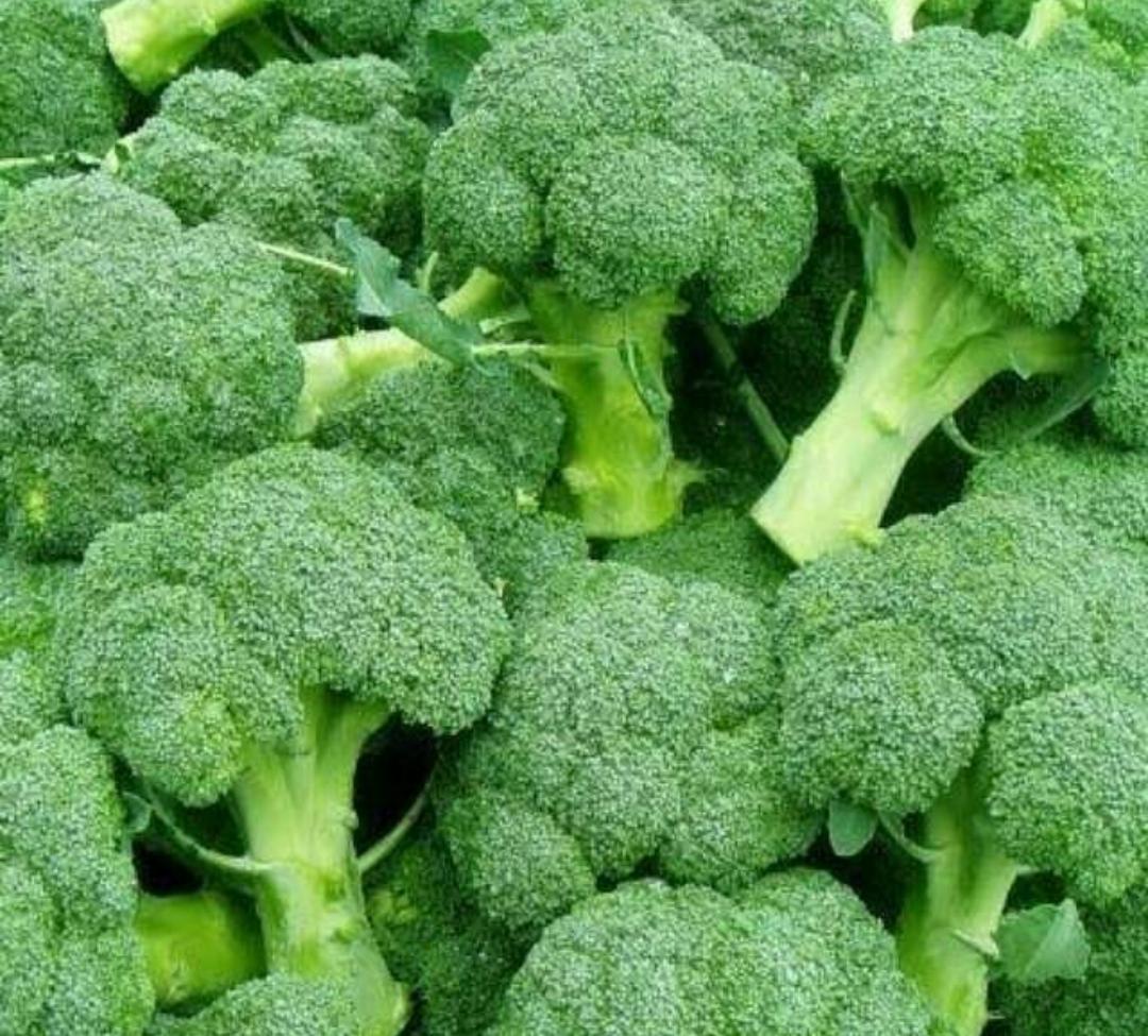 9 Manfaat Mengonsumsi Sayur Brokoli, Salah Satunya Dapat Mencegah Pertumbuhan Sel Kanker