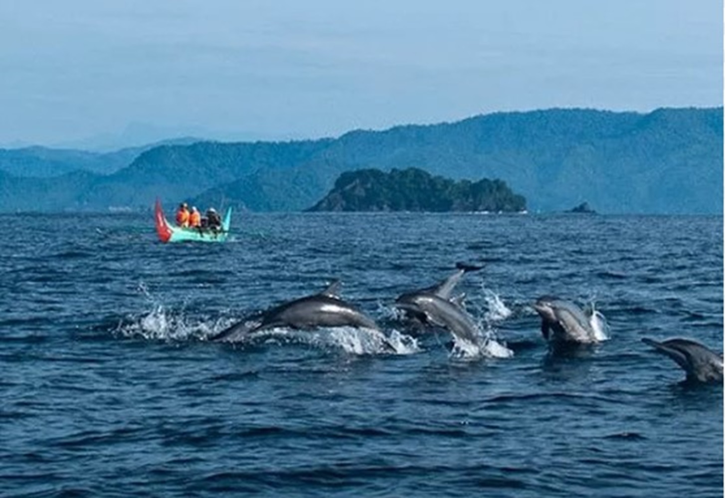 Pantai dengan Pasir Warna Putih, Banyak Batu Karang Mirip Gigi Hiu, Atraksi Lumba-Lumba 