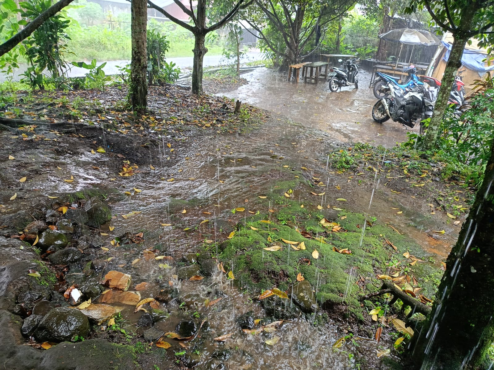 Prakiraan Cuaca: Hujan Setiap Hari di Rejang Lebong, Waspada Banjir dan Longsor