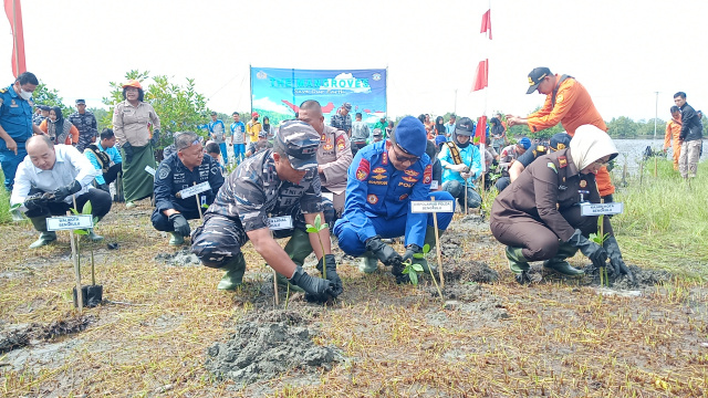 Hari Mangrove Sedunia, Lanal Bengkulu Tanam 6.000 Bibit Mangrove