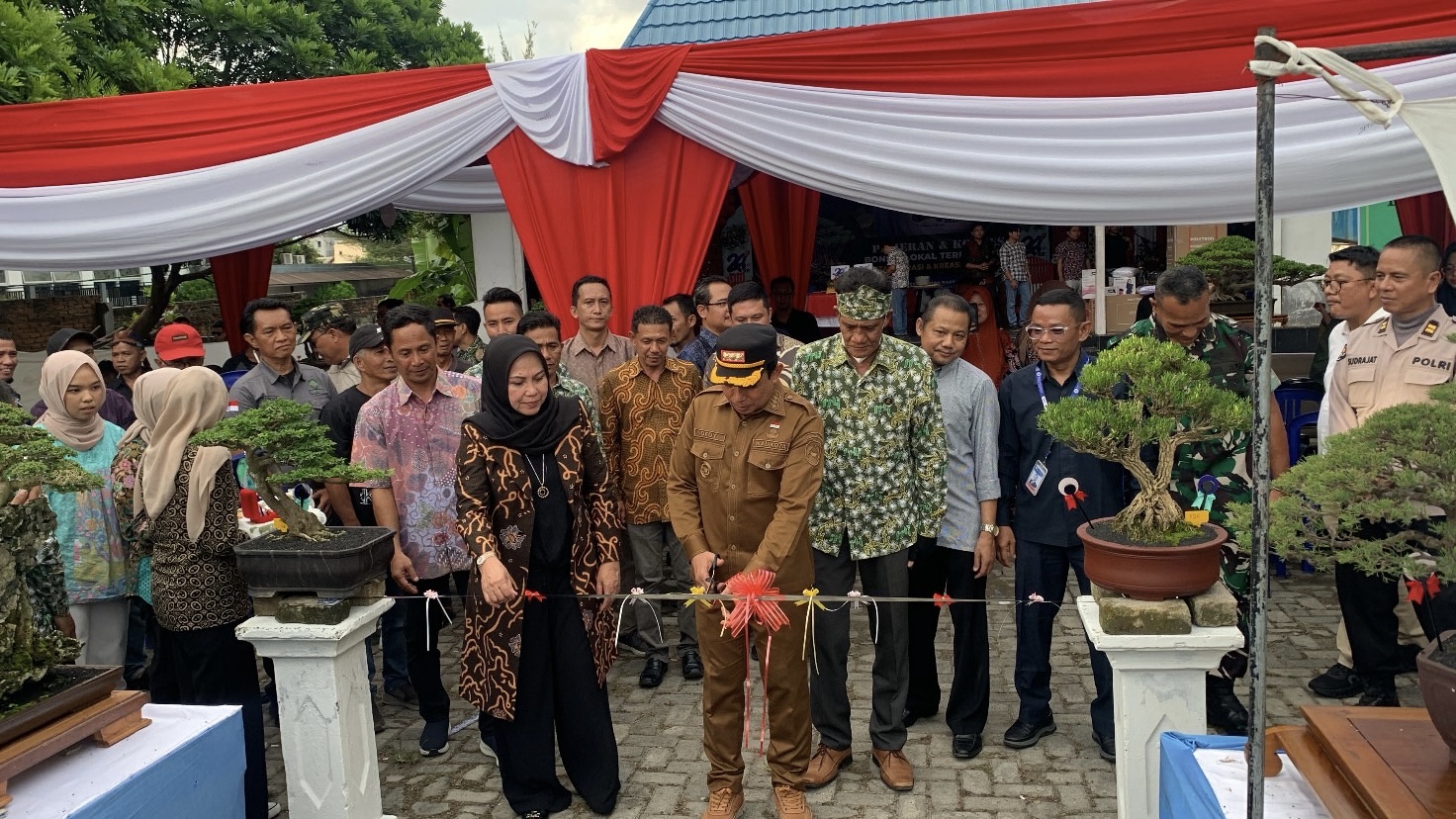 Harian Rakyat Bengkulu Rayakan HUT Ke-24, Gelar Pameran dan Kontes Bonsai Lokal Terbuka