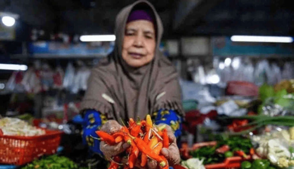 Bapanas Rilis Harga Pangan: Bawang Putih, Bawang Merah, dan Cabai Merah Keriting Terpantau Naik