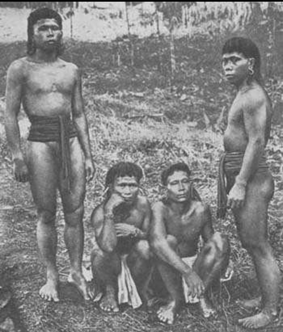 Suku Dayak Punan Asal Kalimantan, Suku Tertua yang Ternyata Keturunan Cina