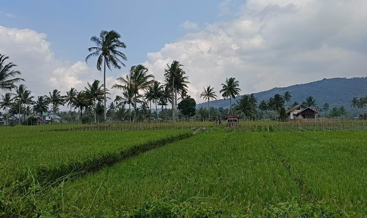 11 Gapoktan di Rejang Lebong Terima Bantuan Program RJIT dari Kementerian Pertanian