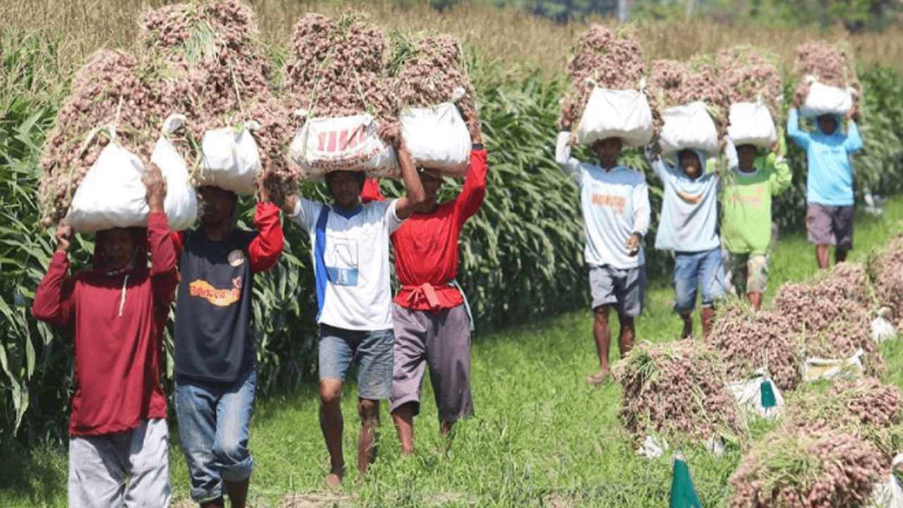 Bapanas Catat Harga Sejumlah Bahan Pangan Naik, Bawang Merah Jadi Rp29.540 per Kg