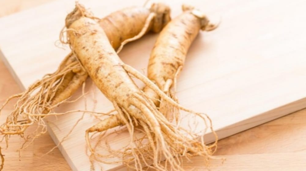 Telah Dimanfaatkan Berabad-abad Sebagai Obat Herbal, Ini Manfaat Ginseng untuk Kesehatan Tubuh