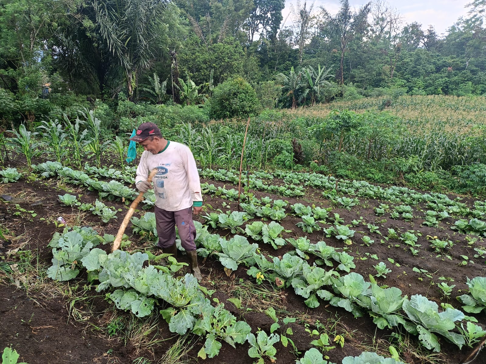 Diantara Manfaat Berkebun, Bisa Melatih Kesabaran dan Menghindari Stres! Temukan Lengkapnya di Sini 