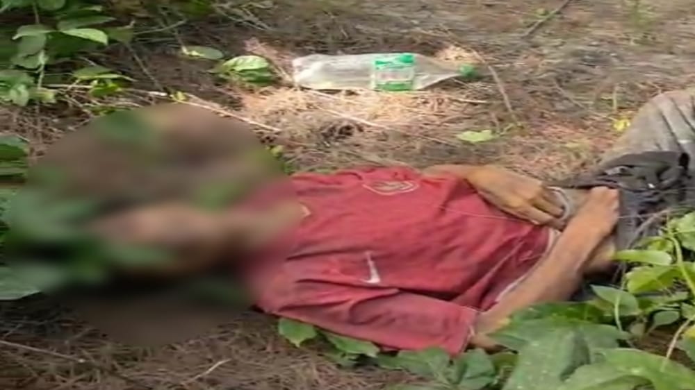Jasad Pria Berkaos Merah Ditemukan di Lentera Hijau Pulau Baai, Ini Identitasnya!