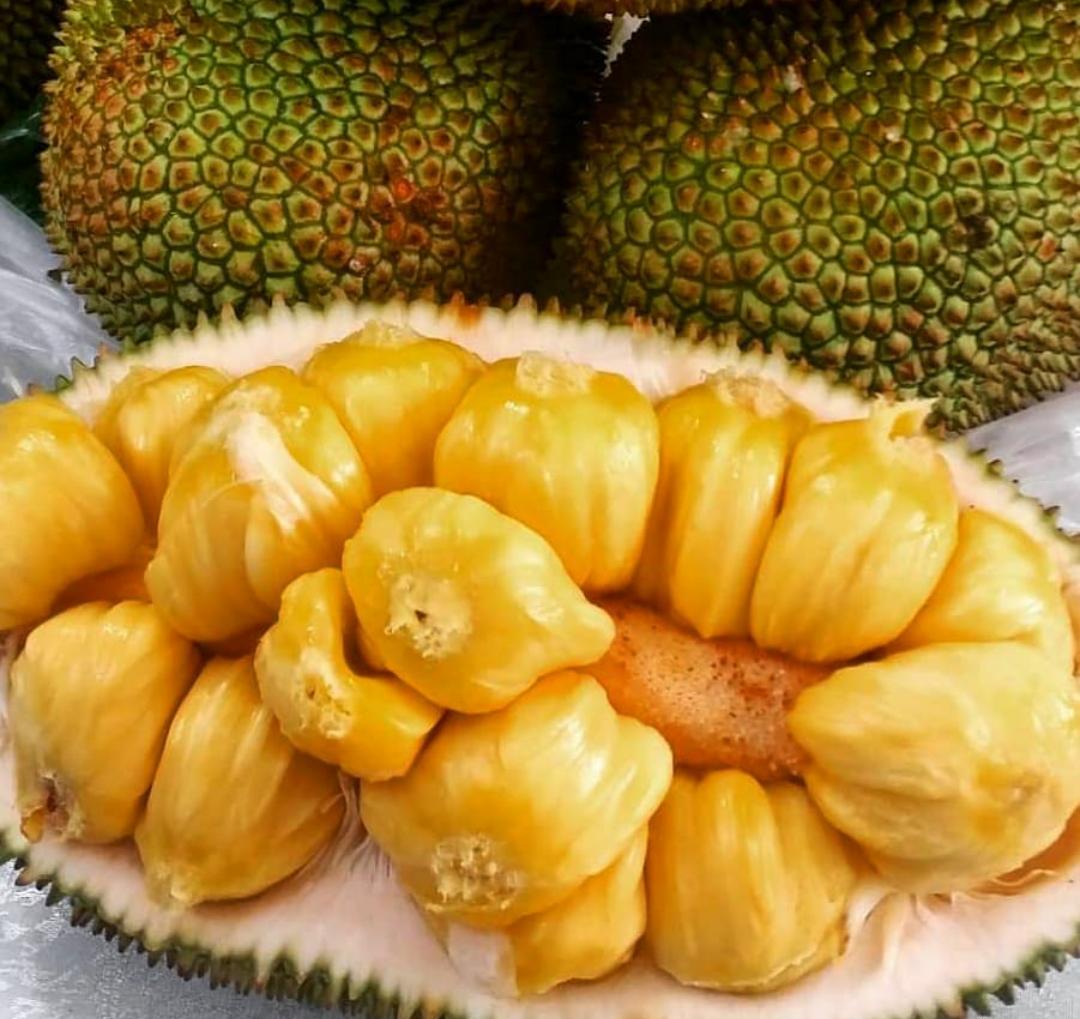 Siapa Sangka, Ternyata Ini 7 Manfaat Buah Cempedak untuk Kesehatan