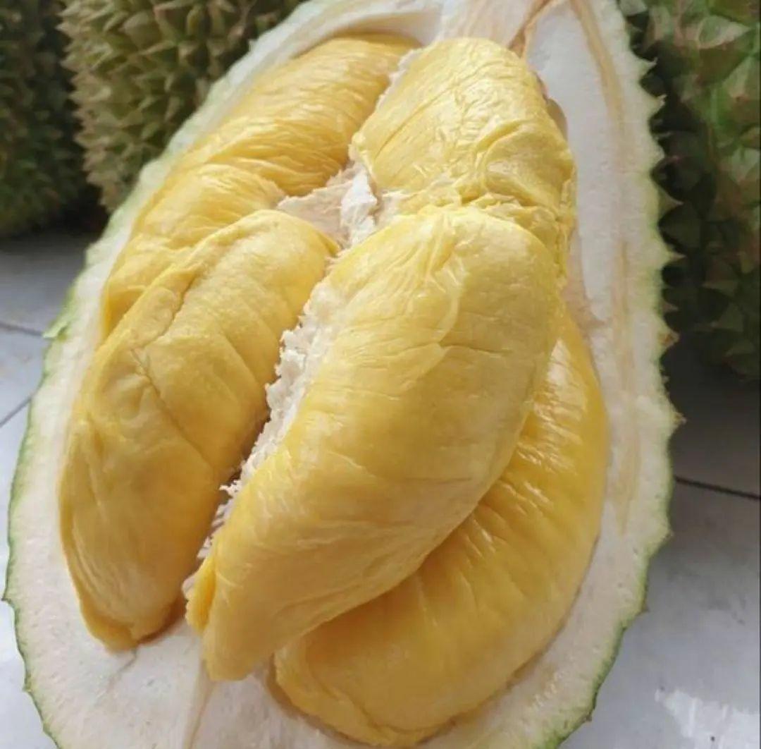Wow! Ini Dia 7 Manfaat Buah Durian yang Ternyata Baik untuk Tumbuh Kembang Anak