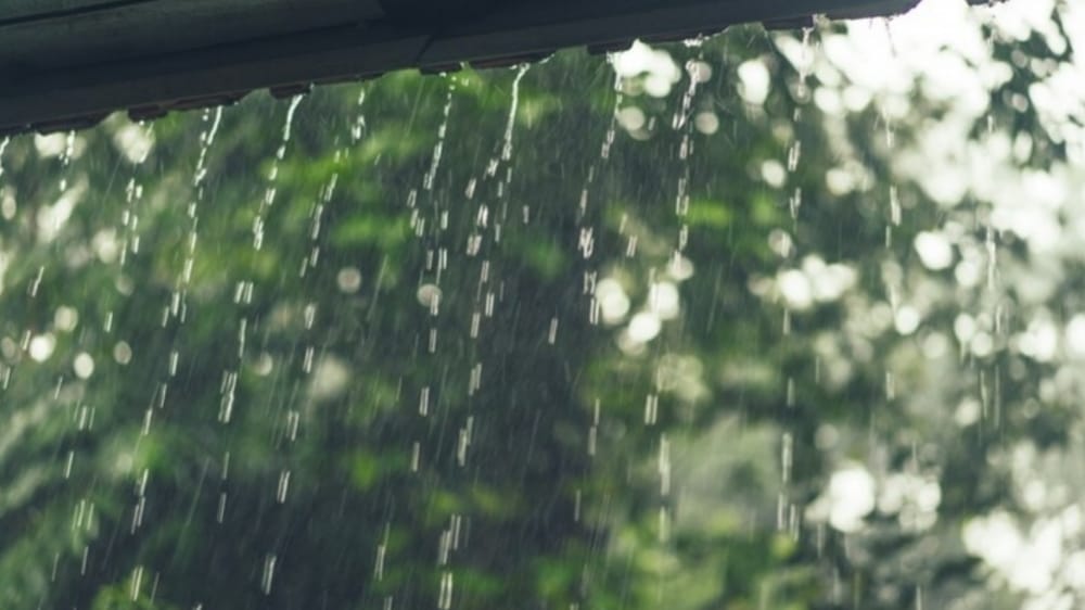 5 Tips Menjaga Daya Tahan Tubuh Tetap Prima Saat Musim Hujan