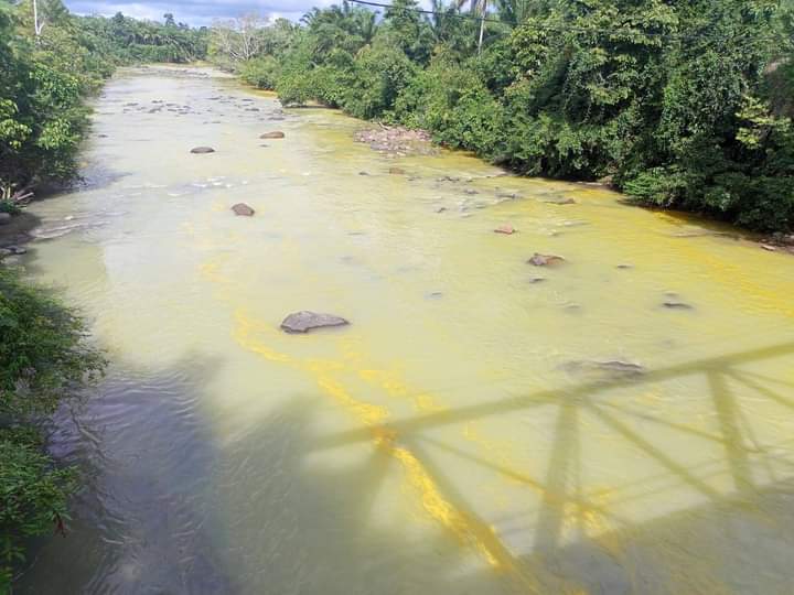 Sungai Tak Lagi Bening, sudah Berwarna Kuning, di Lubuk Banyau Bengkulu Utara