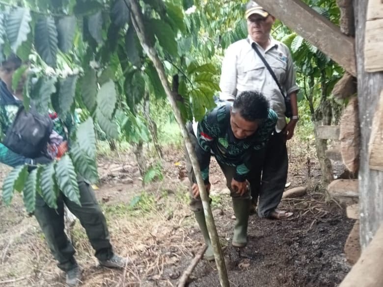Konflik Satwa Liar Kembali Terjadi, Macan Dahan Diduga Serang Ternak Warga di Seluma