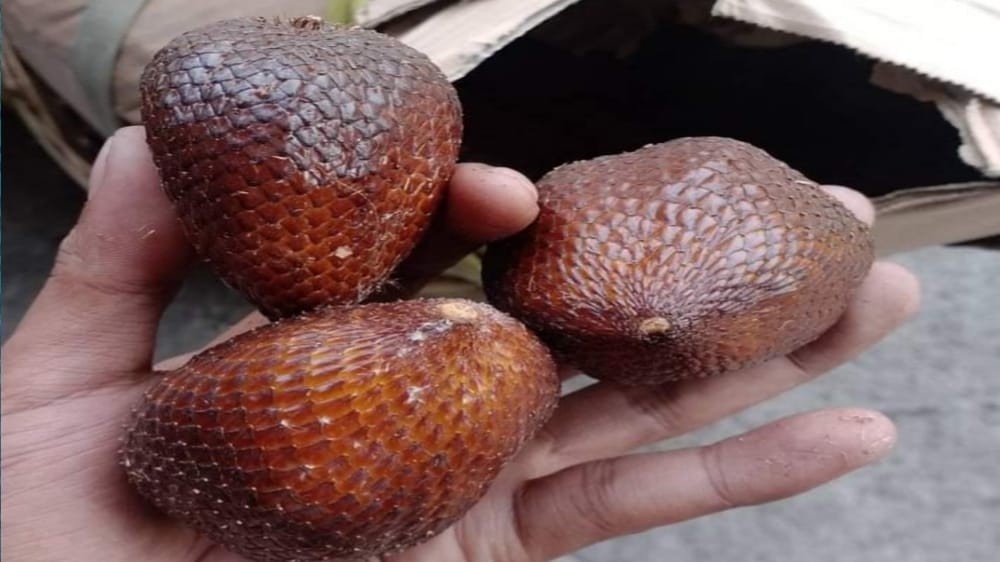 Manfaat Buah Salak untuk Ibu Hamil, Salah Satunya Mengurangi Morning Sickness 