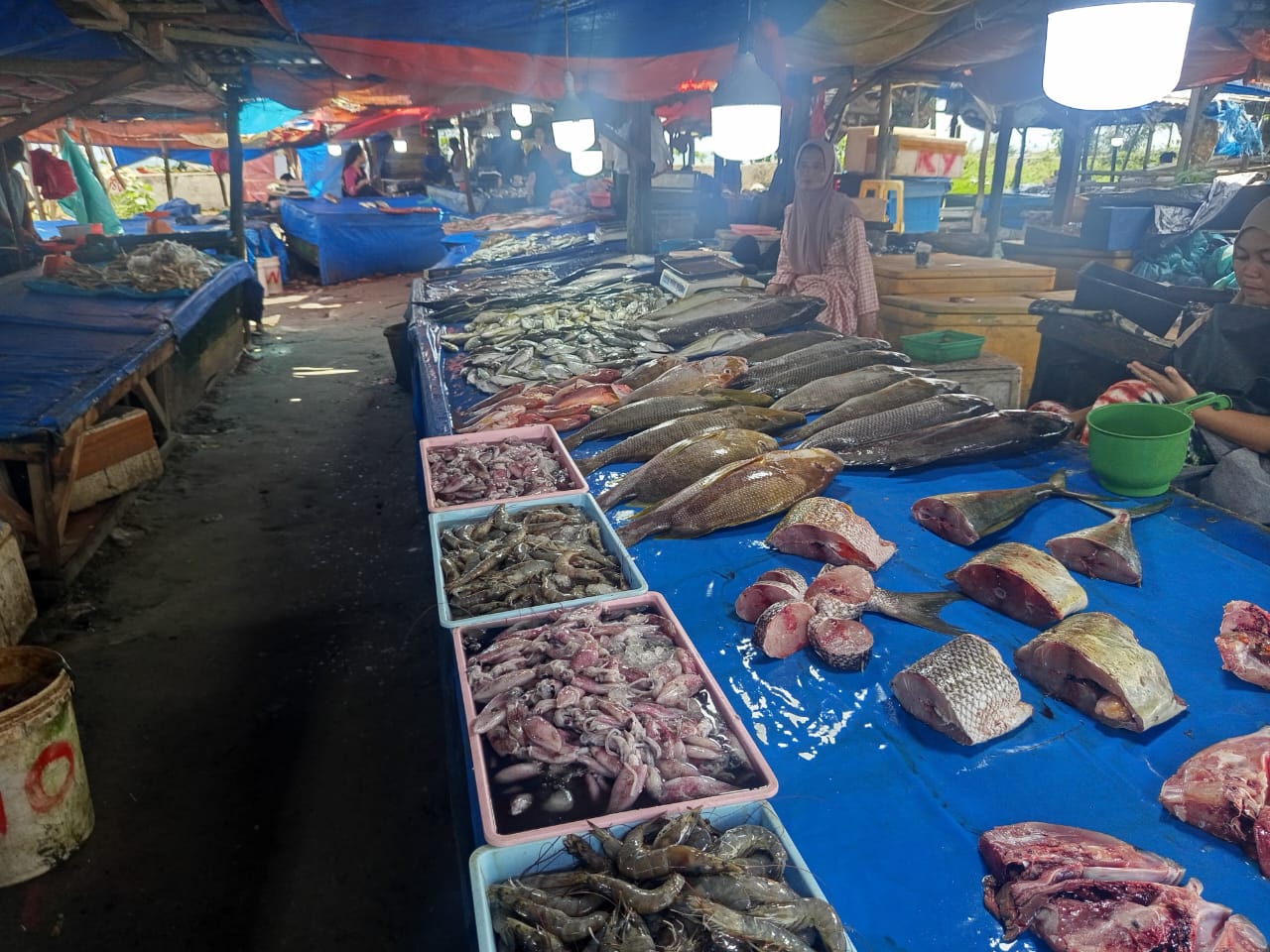 Cuaca Buruk Picu Kelangkaan Ikan di Bengkulu, Harga Melonjak
