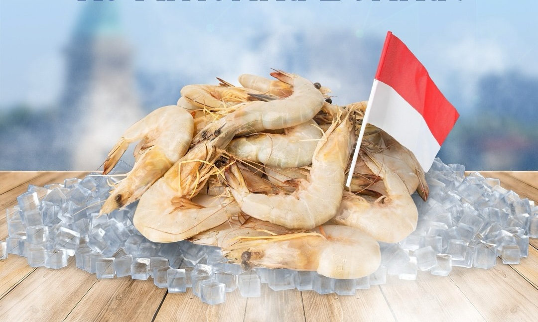 Ekspor Udang Indonesia ke Amerika Tetap Lancar Meski Aturan Impor Diperketat