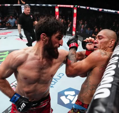 Magomed Ankalaev Rebut Gelar Juara UFC 313 Setelah Kalahkan Alex Pereira