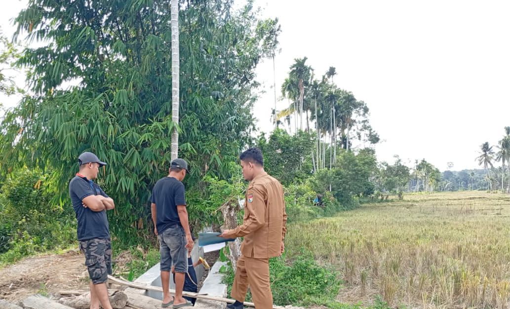 Oplah Non Rawa Mukomuko Rampung 100 Persen, 809 Hektare Lahan Kini Lebih Produktif