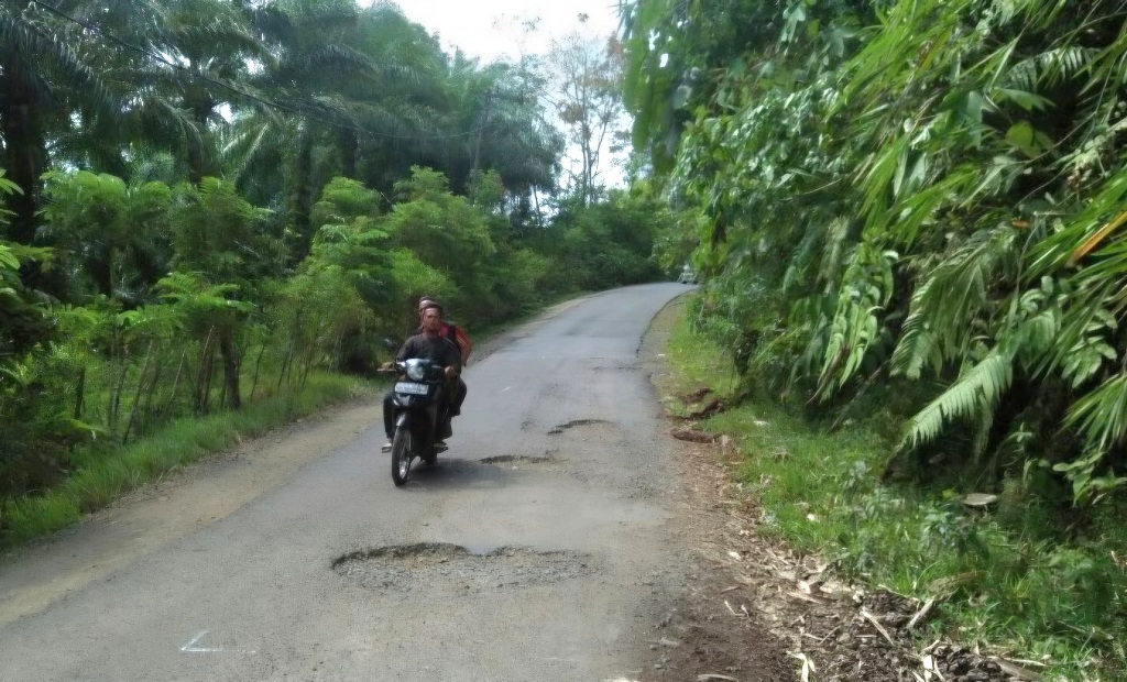 Sempit dan Rawan Senggolan, PUPR Bengkulu Tengah Usulkan Pelebaran Jalan Renah Semanek
