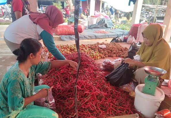 Harga dan Ketersediaan Bahan Pokok di Mukomuko Awal Mei 2025: Cabai hingga Ayam Turun Harga